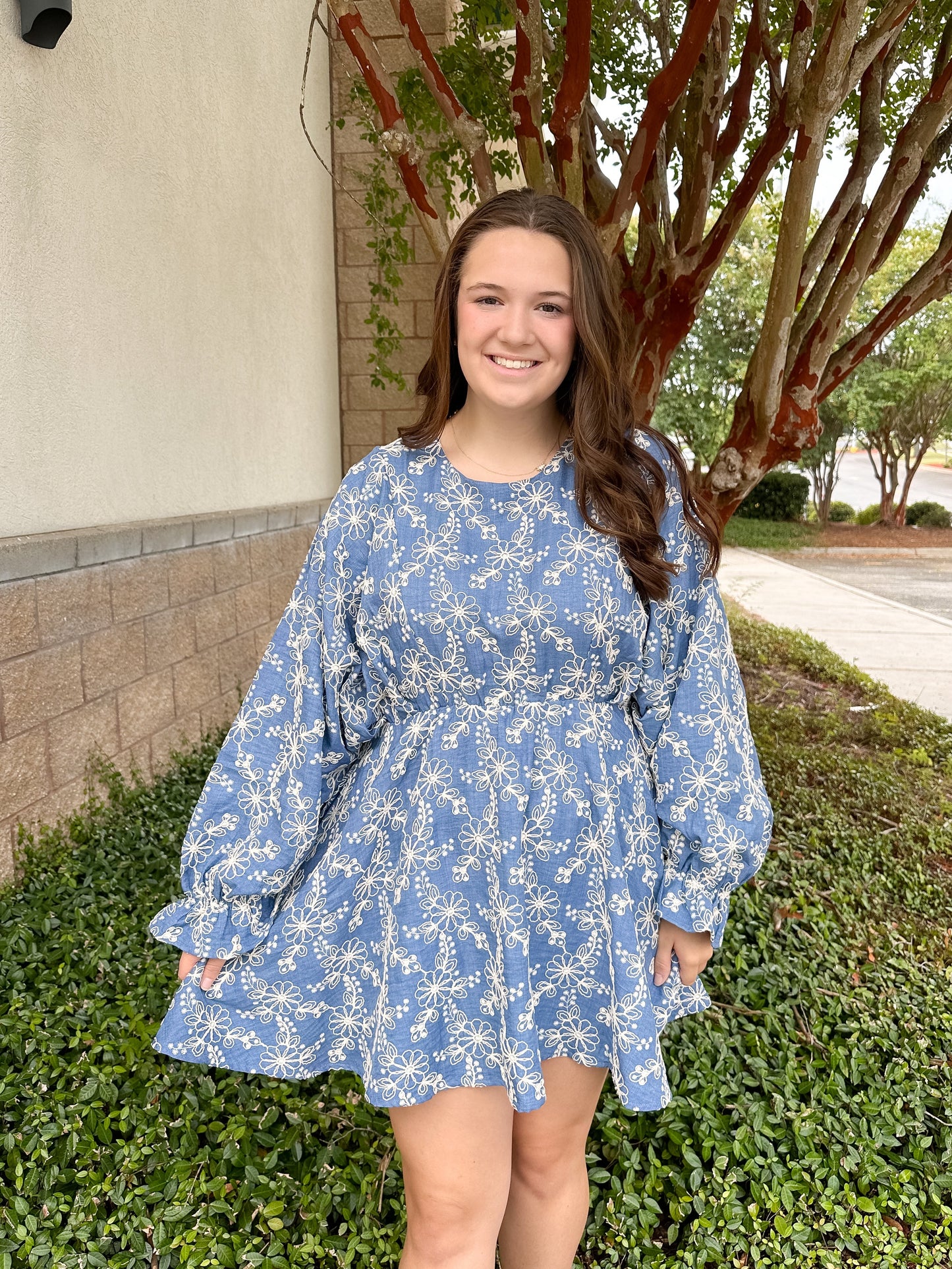 Jewel Mini Dress