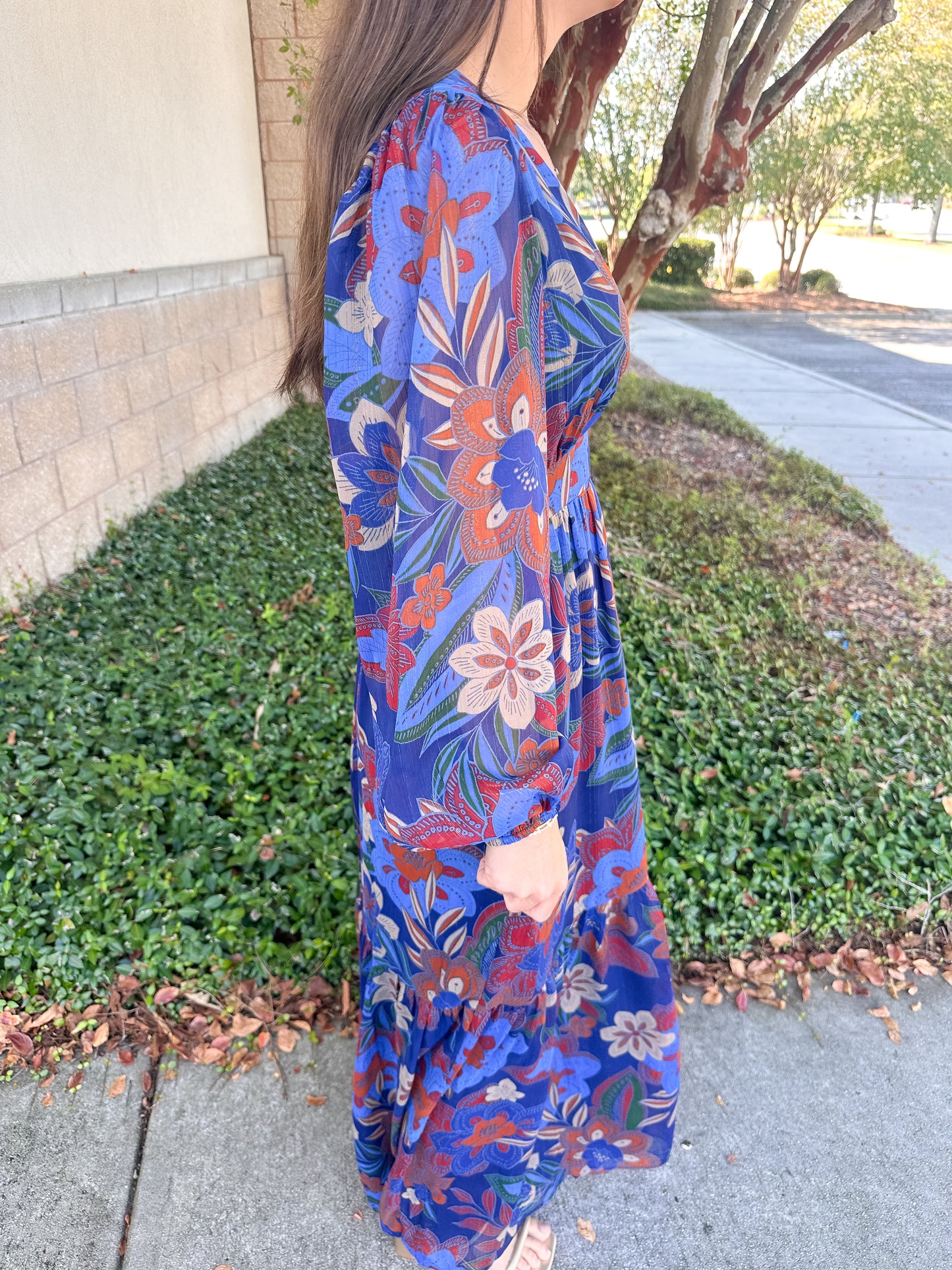 Gianara Maxi Dress