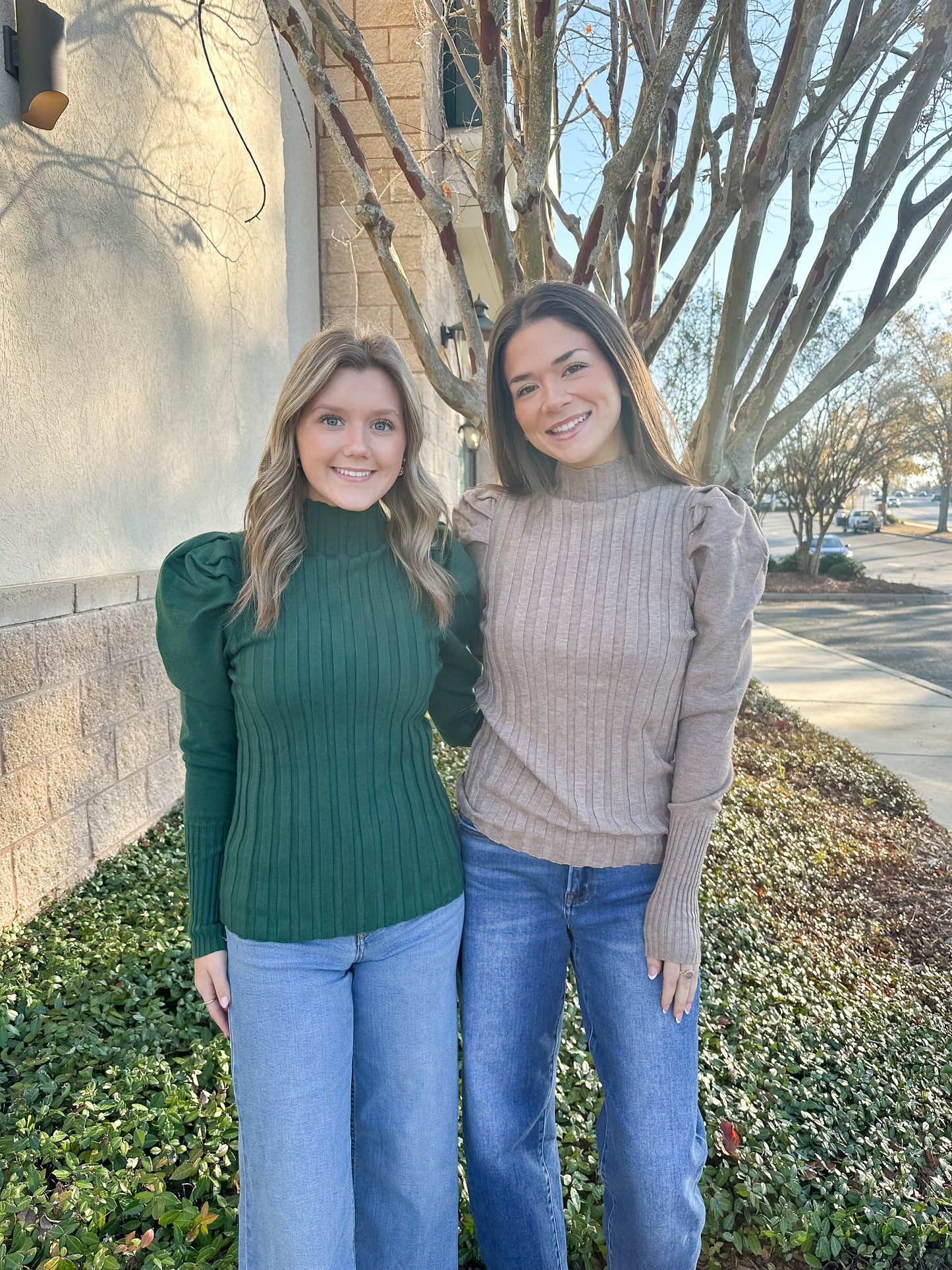 Jessica Puff Sleeve Top