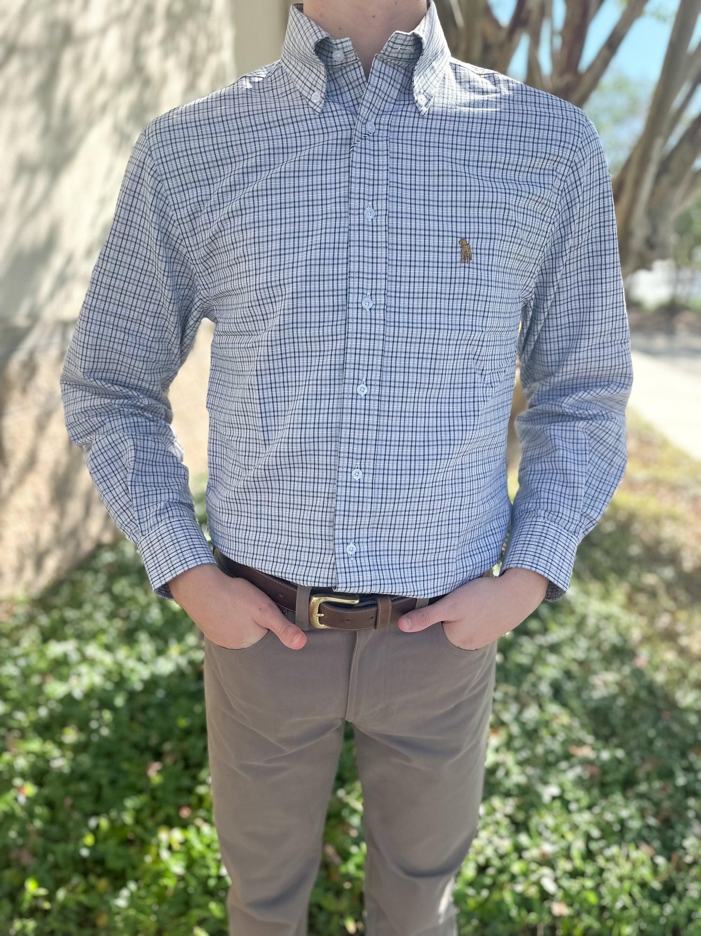 S. Casanova F25 Charlie Button Down - Low Country
