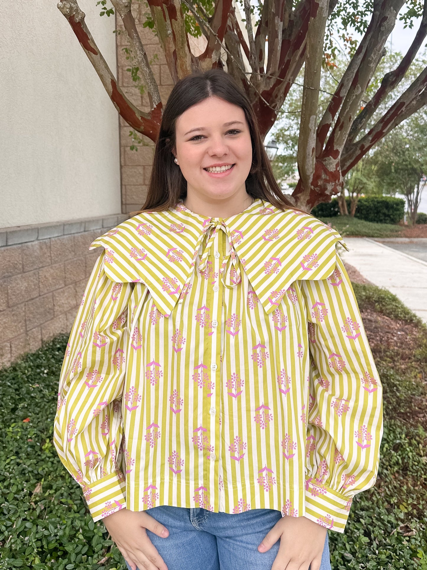 Fairly Collar Top