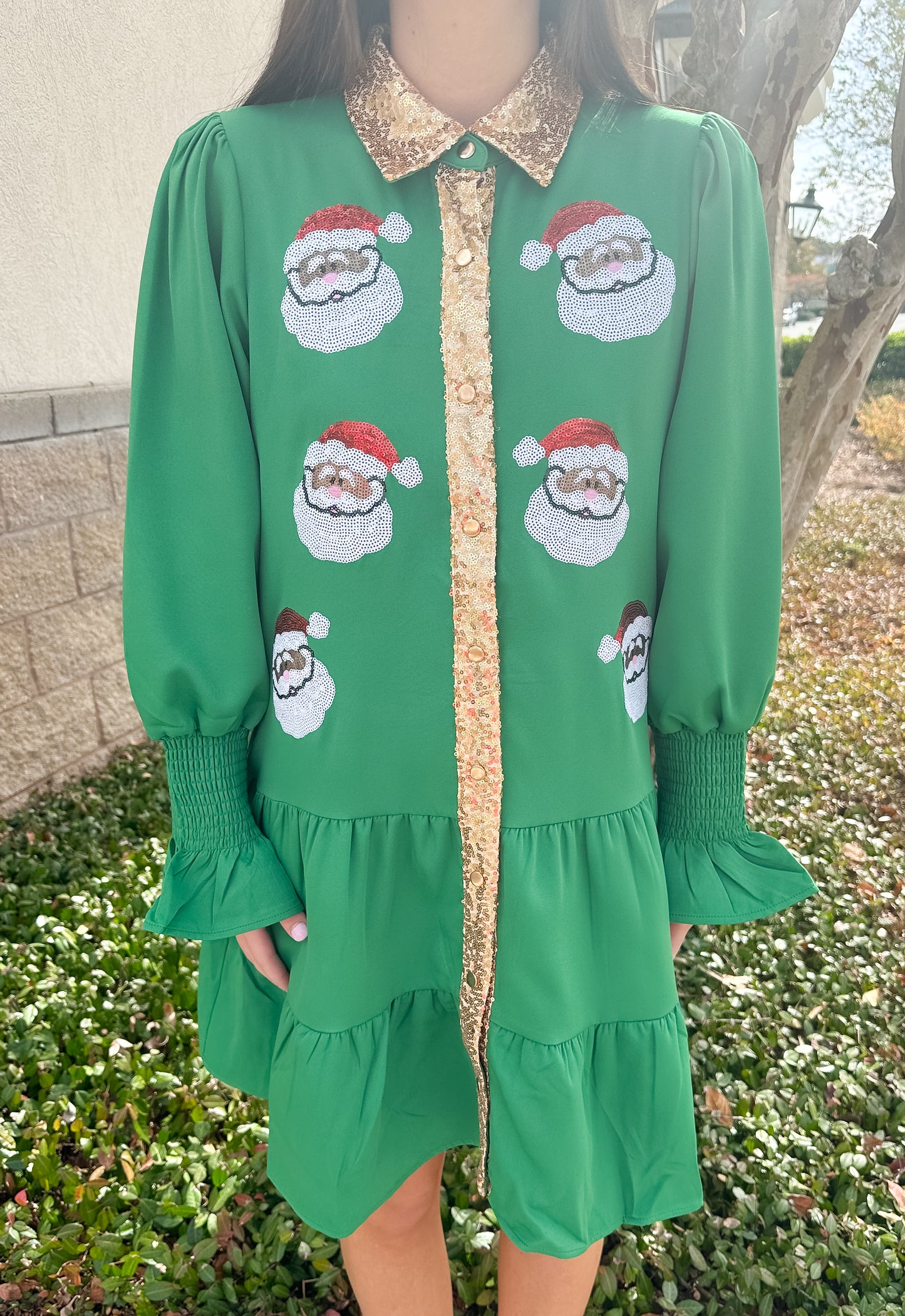 JM Santa Button Down Dress