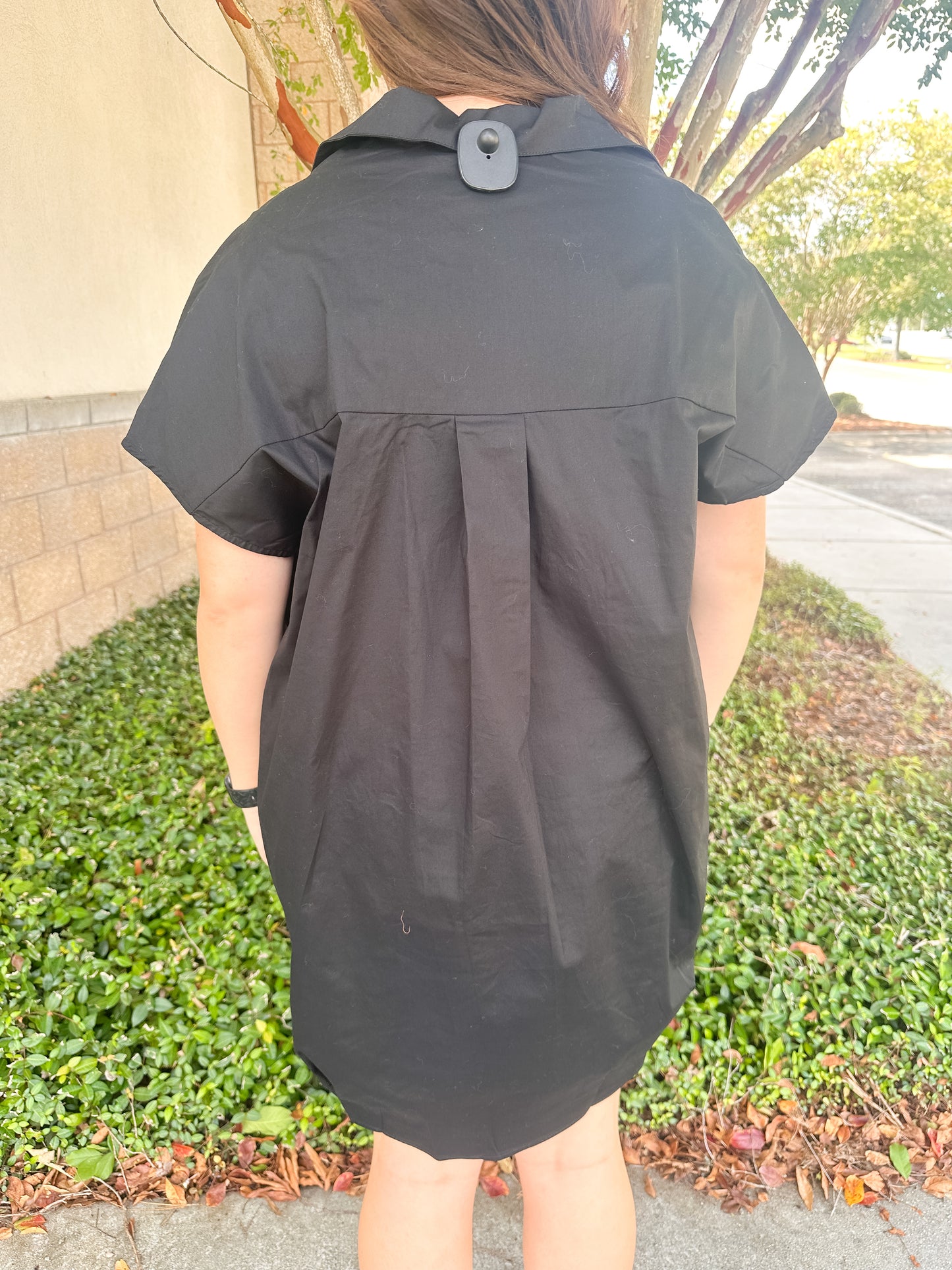 Helen Signature Collar Dress