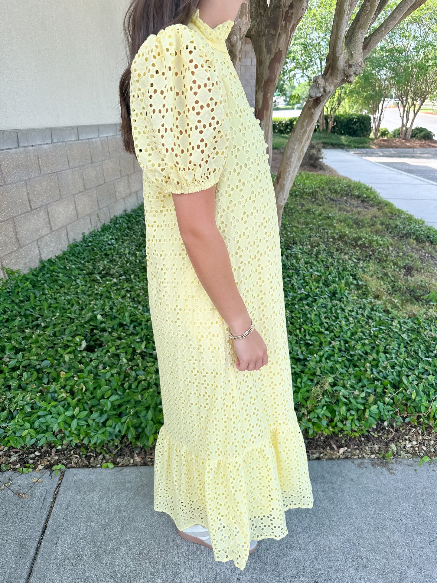 Elise Eyelet Maxi Dress