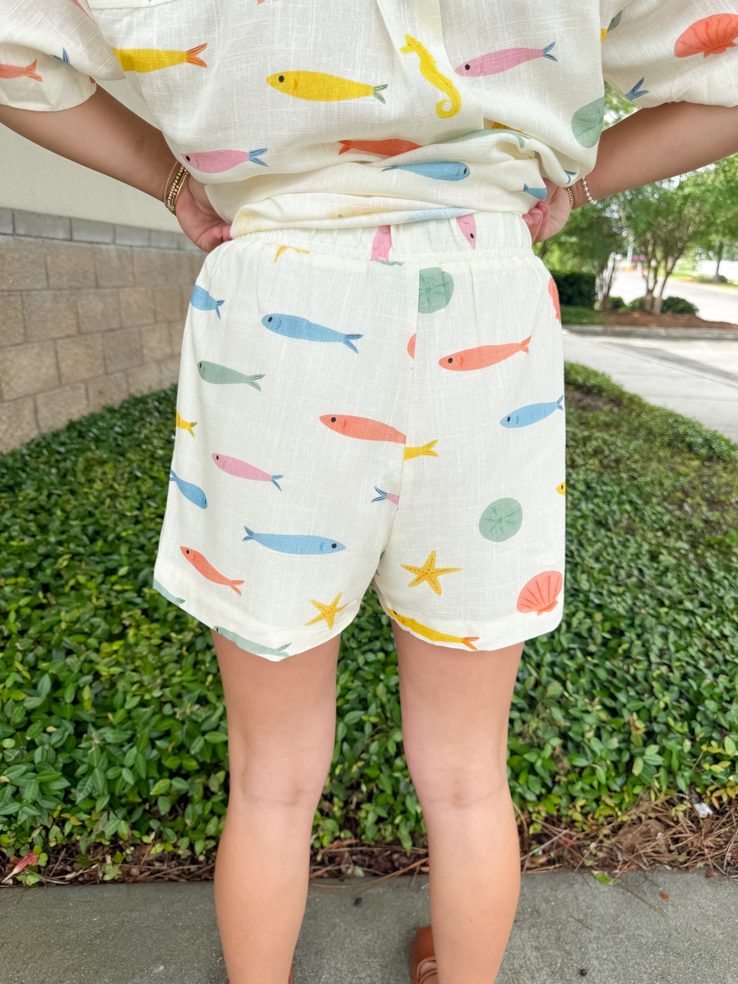 Here Fishy Set