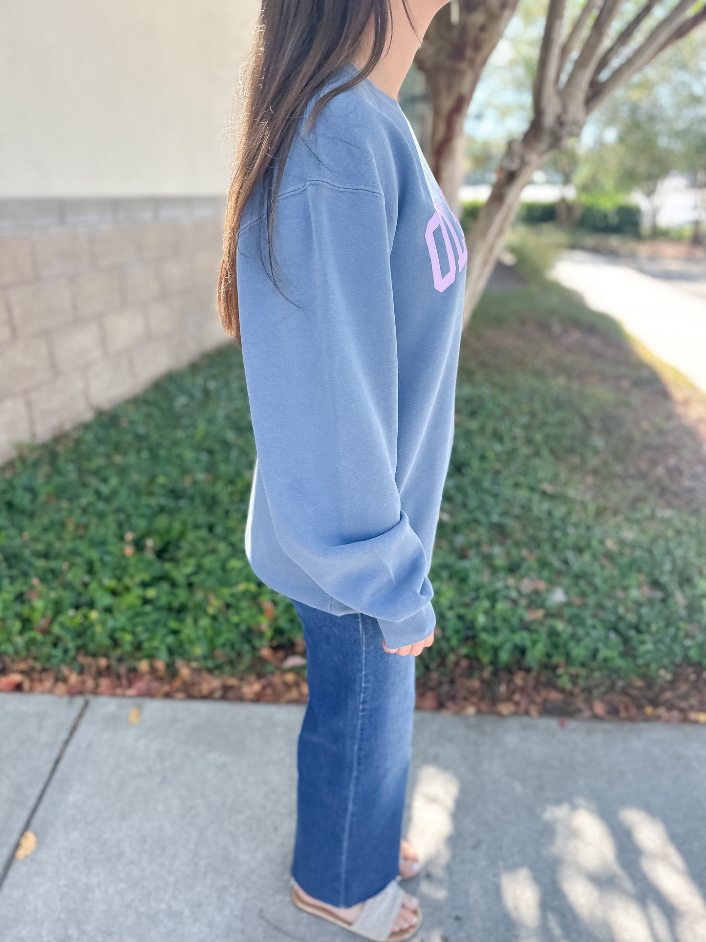 Old Row Logo Sweatshirt - Blue/Pink