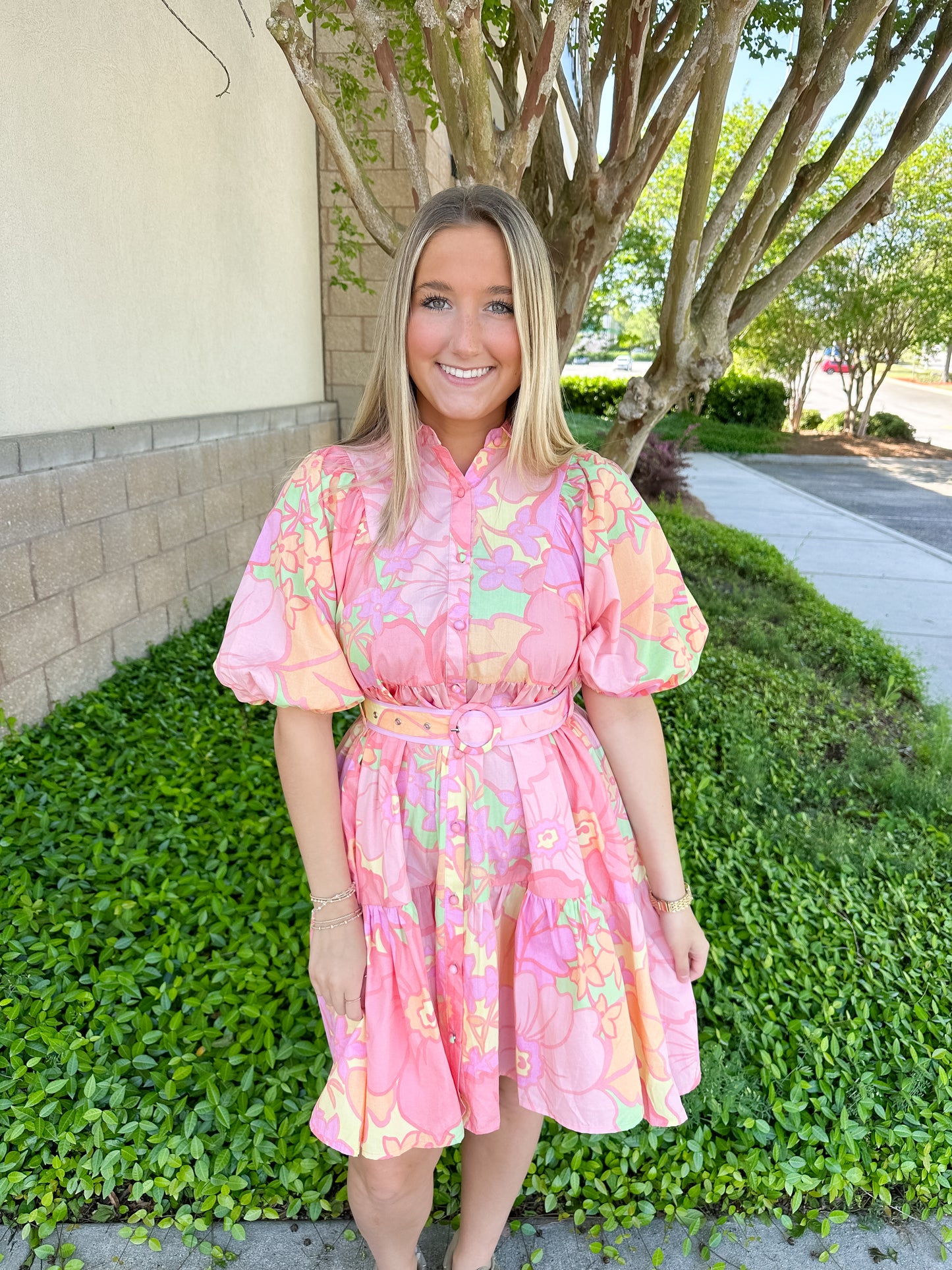 Andrea Pastel Belt Dress