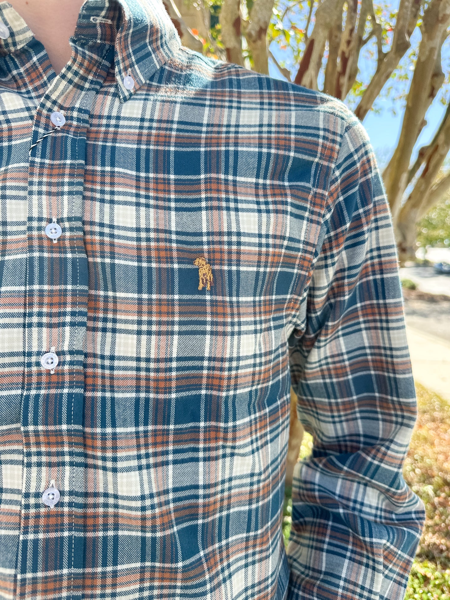 S. Casanova F25 Marcus Plaid Button Down