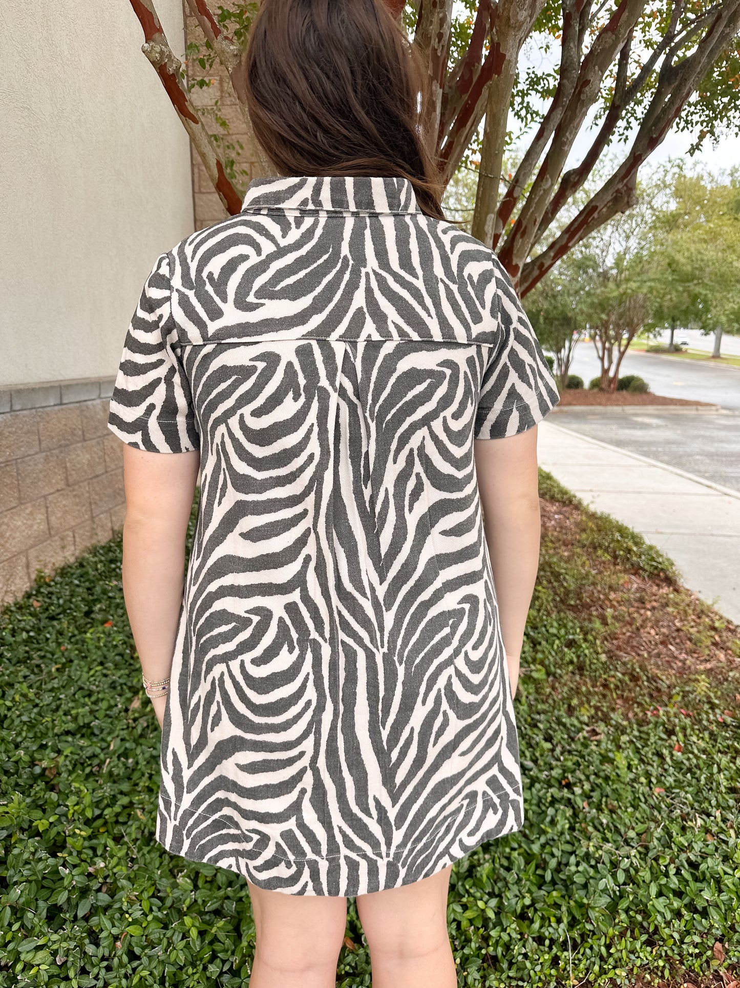 Zoe Mini Dress