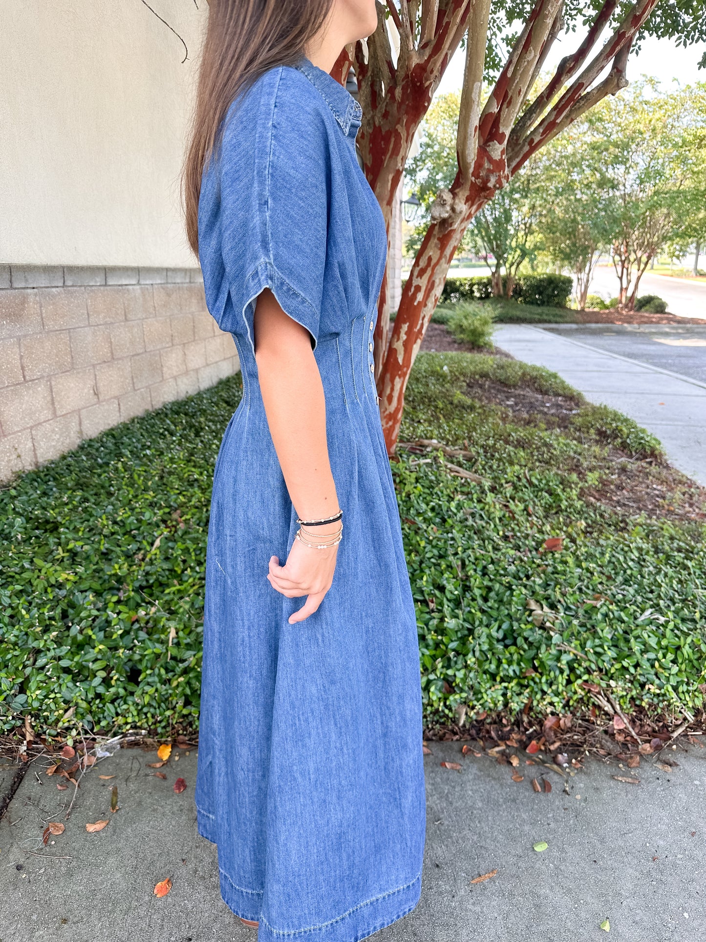 Harper Denim Dress