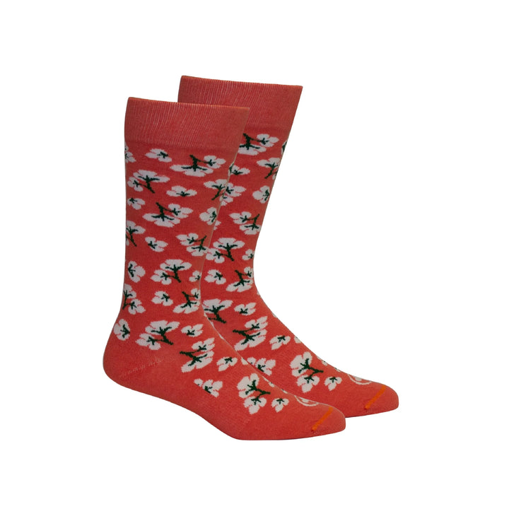 Brown Dog Socks - High Cotton Dubarry