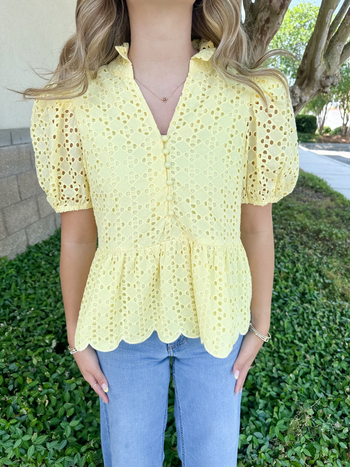 Elise Eyelet Top