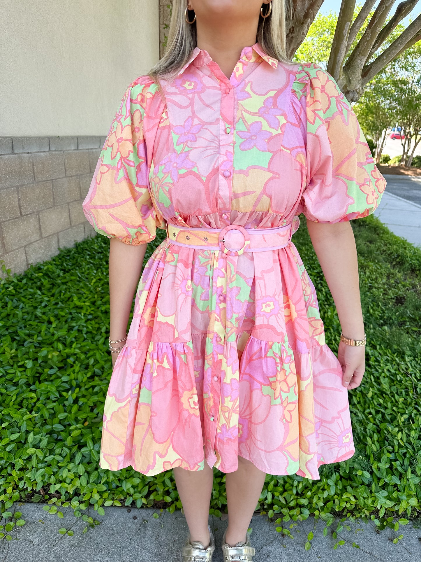 Andrea Pastel Belt Dress