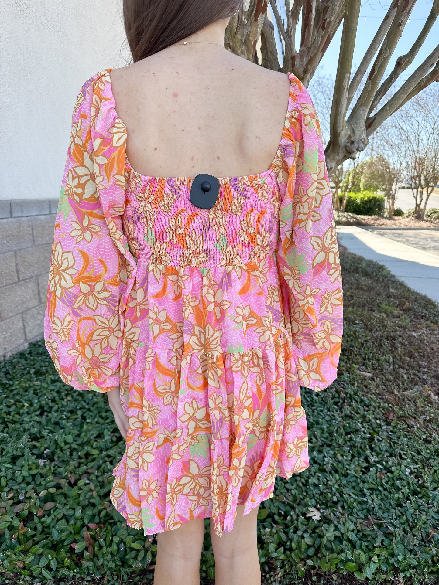 Clara Mini Dress