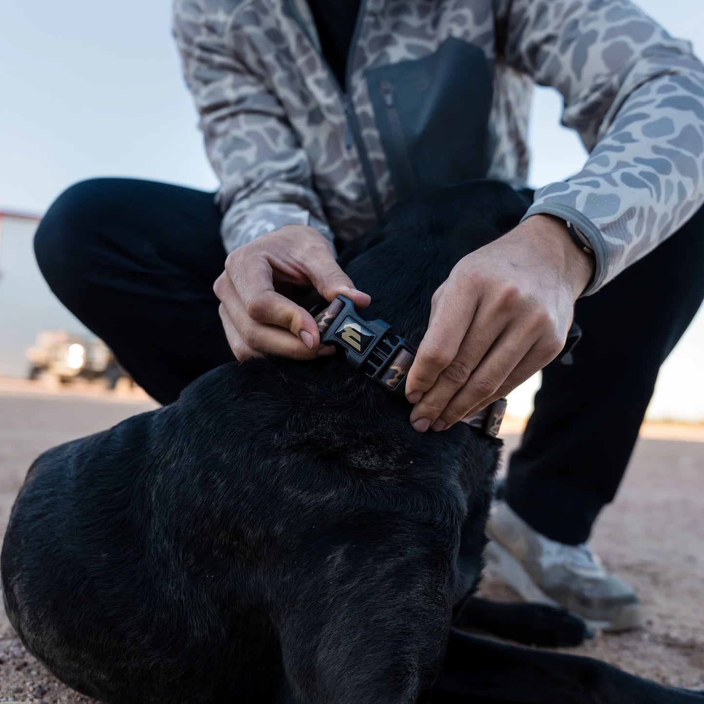 Burlebo Dog Collar - Gauge Camo
