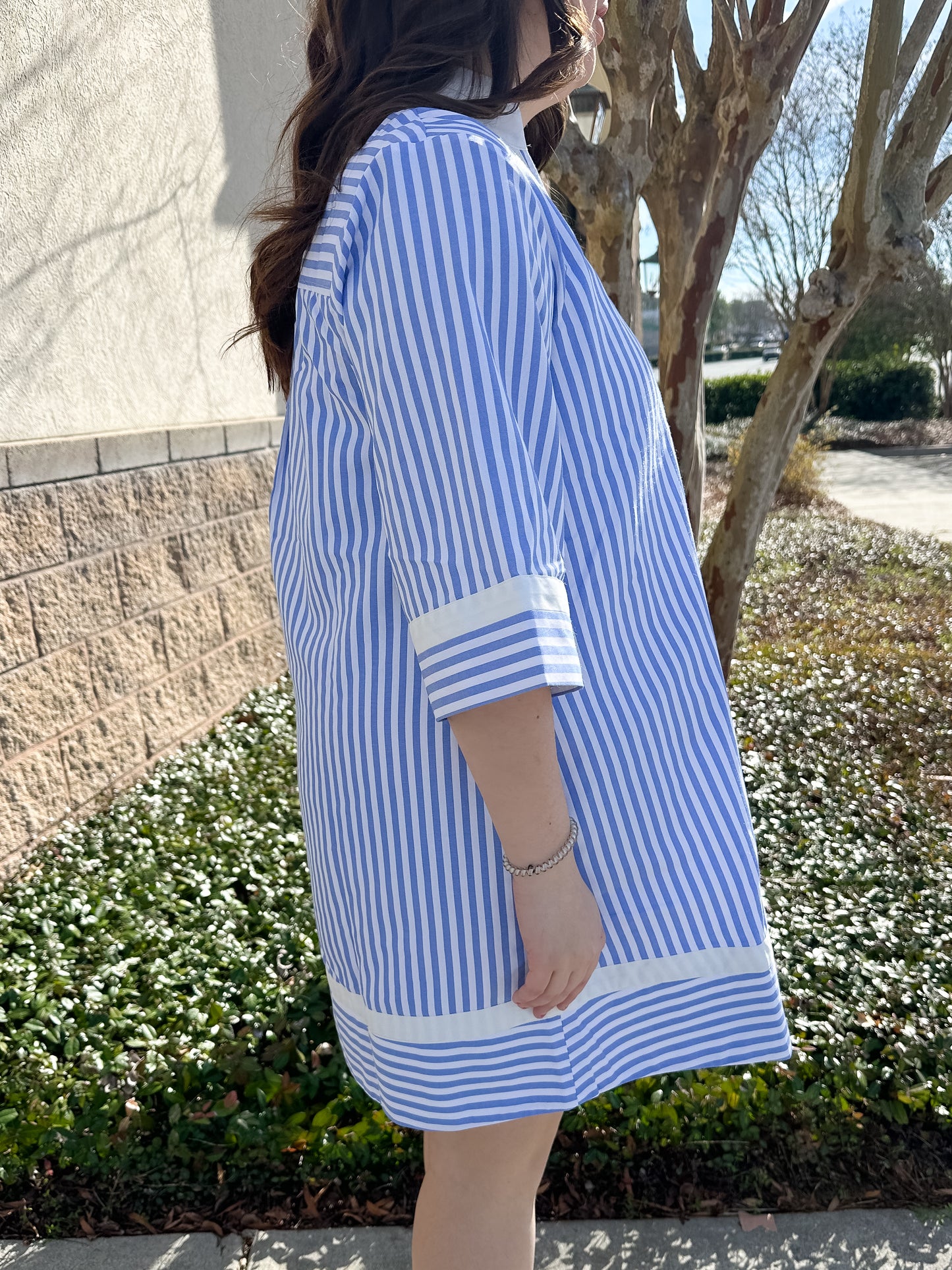 Logan Stripe Dress - Blue