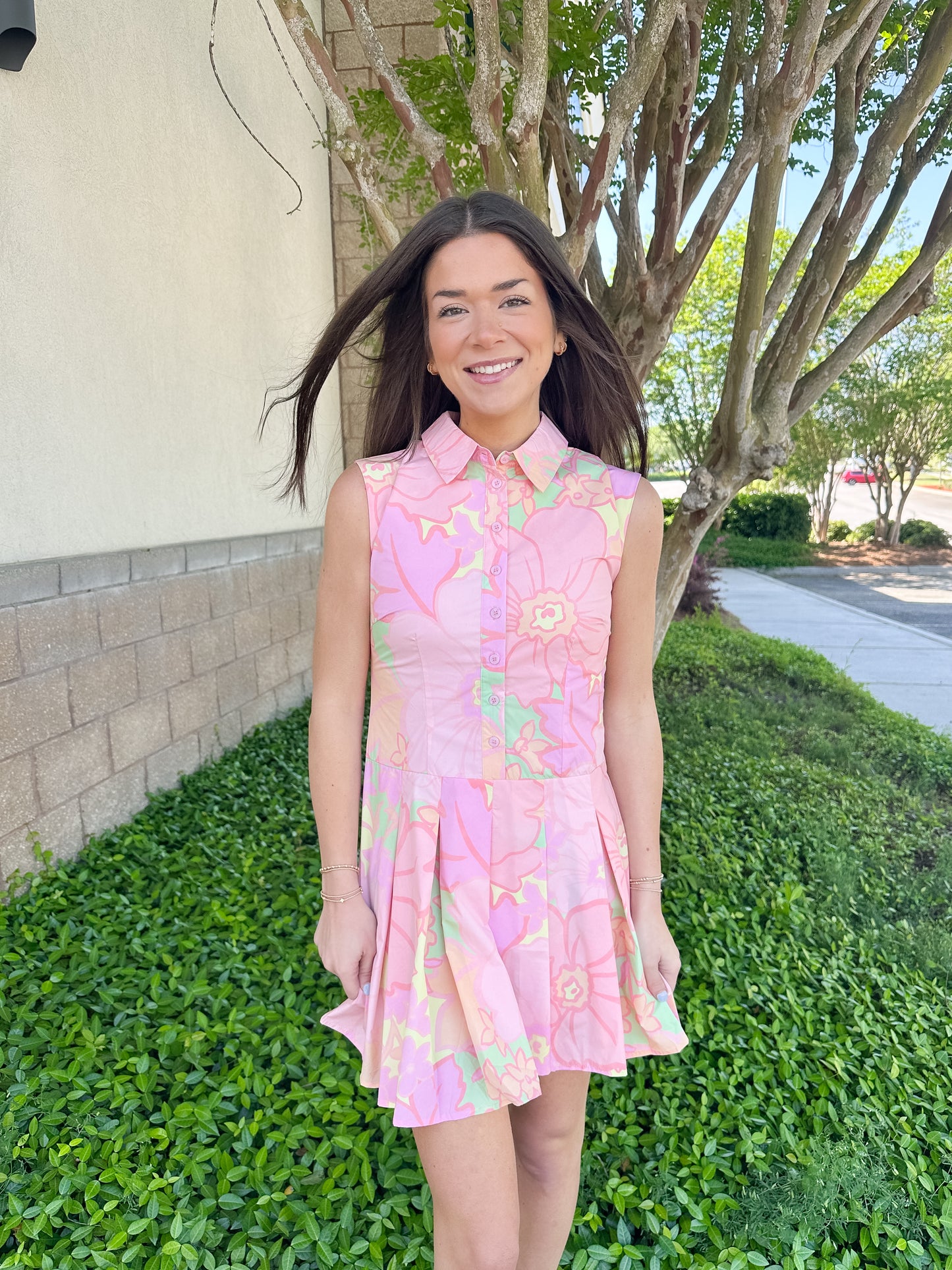 Andrea Pastel Collar Dress