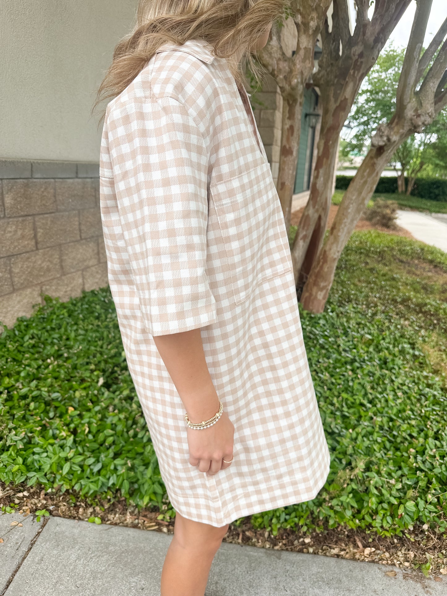 Checkmate Denim Dress