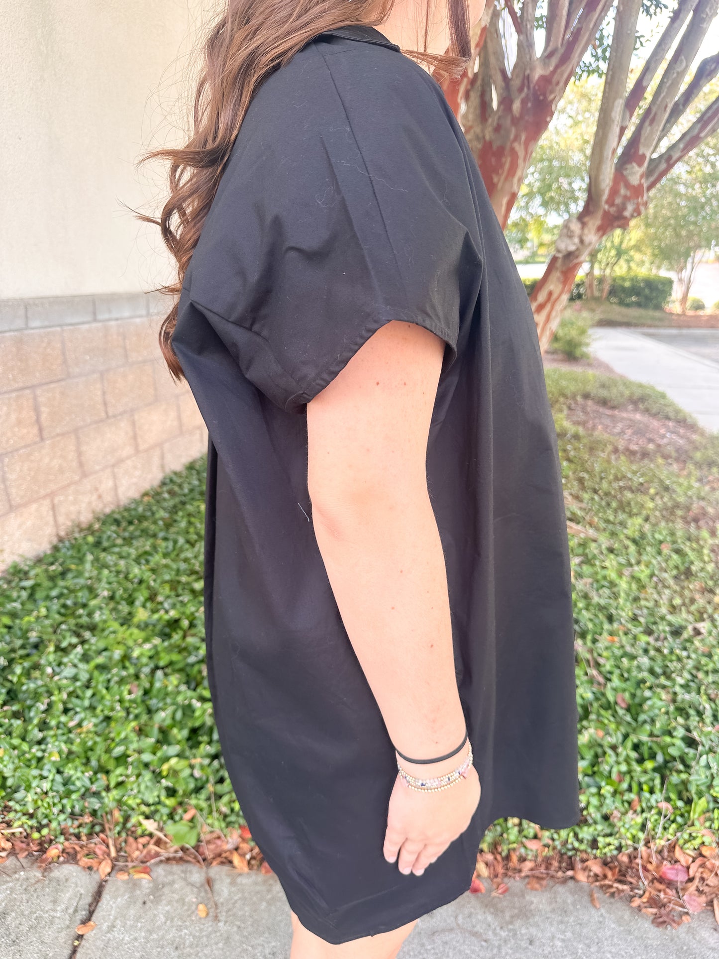 Helen Signature Collar Dress