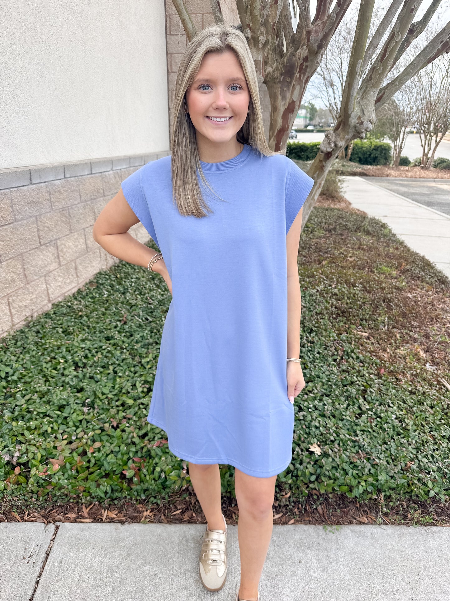Marty Mini Dress - Blue