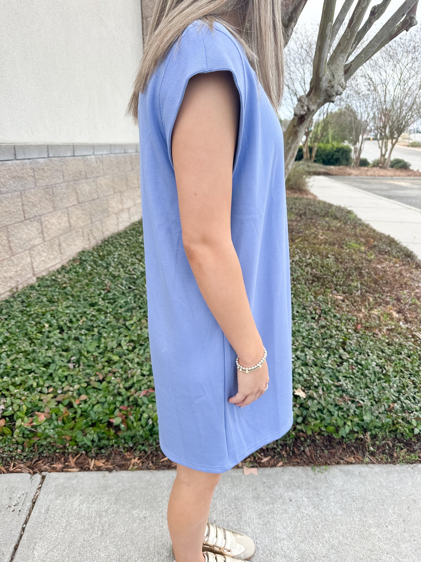 Marty Mini Dress - Blue