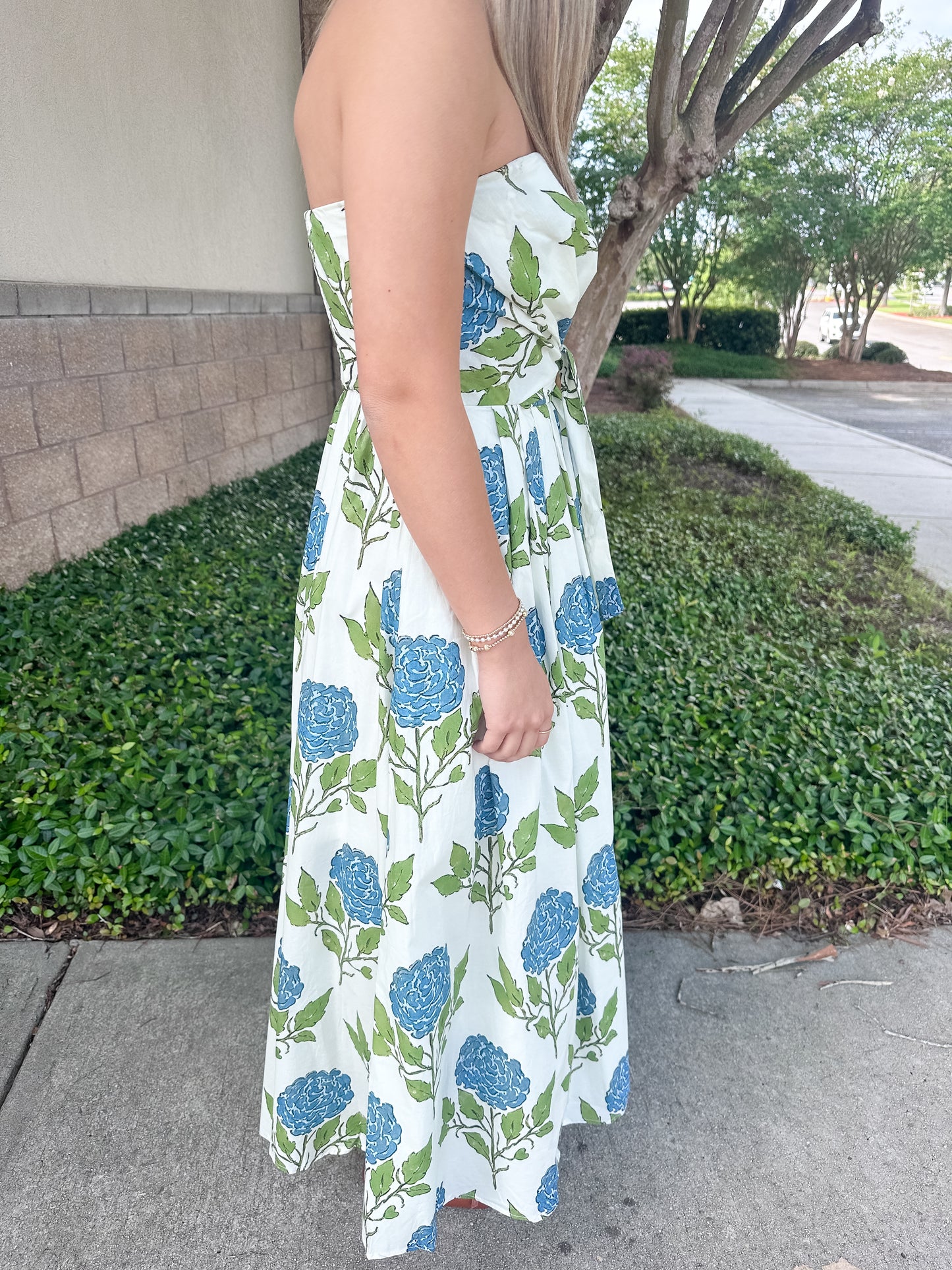 Cynthia Rose Midi Dress