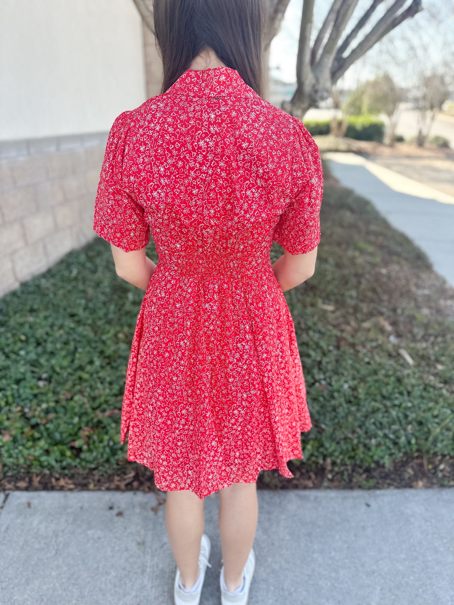 Meghan Collared Dress