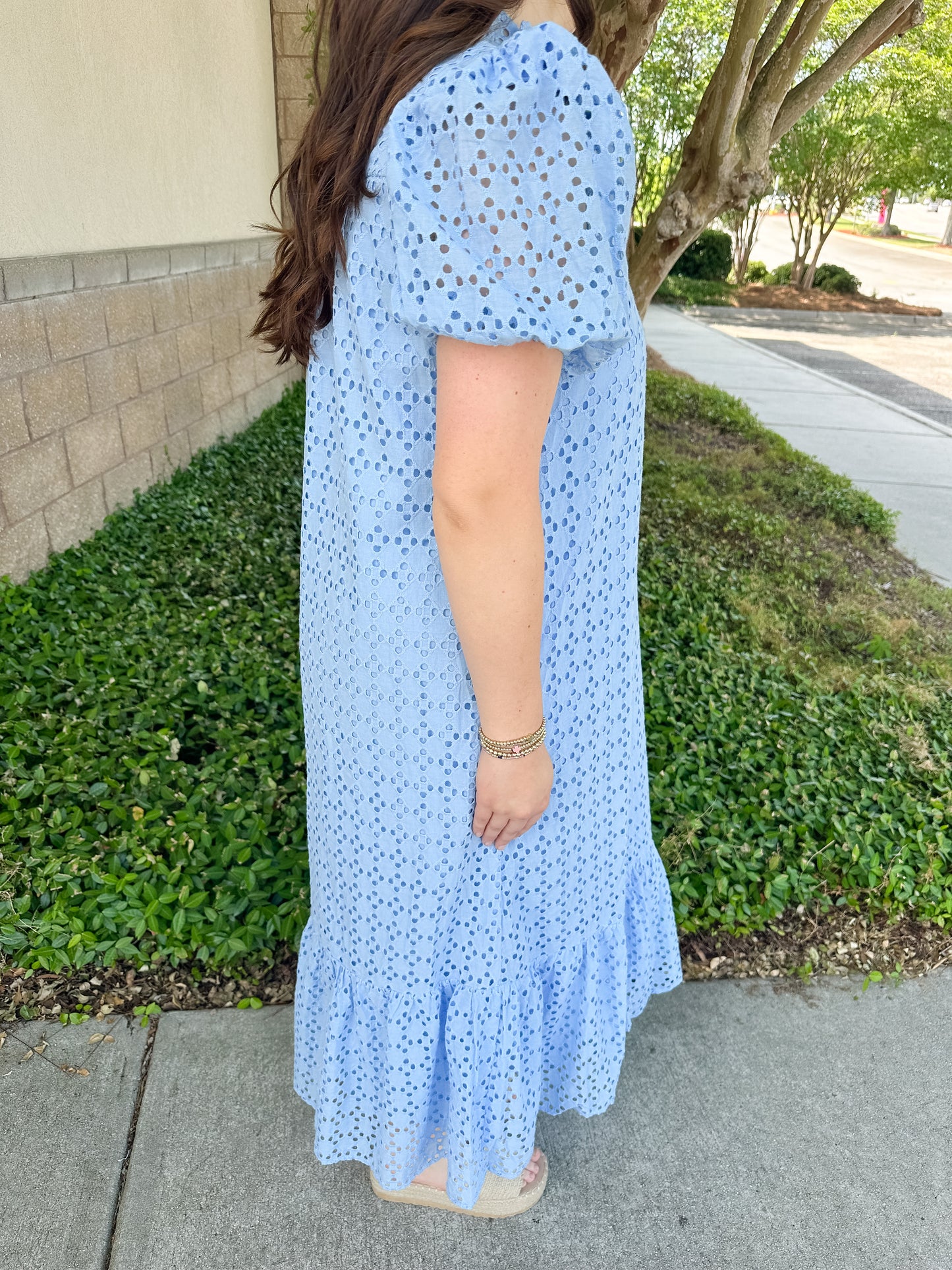 Elise Eyelet Maxi Dress
