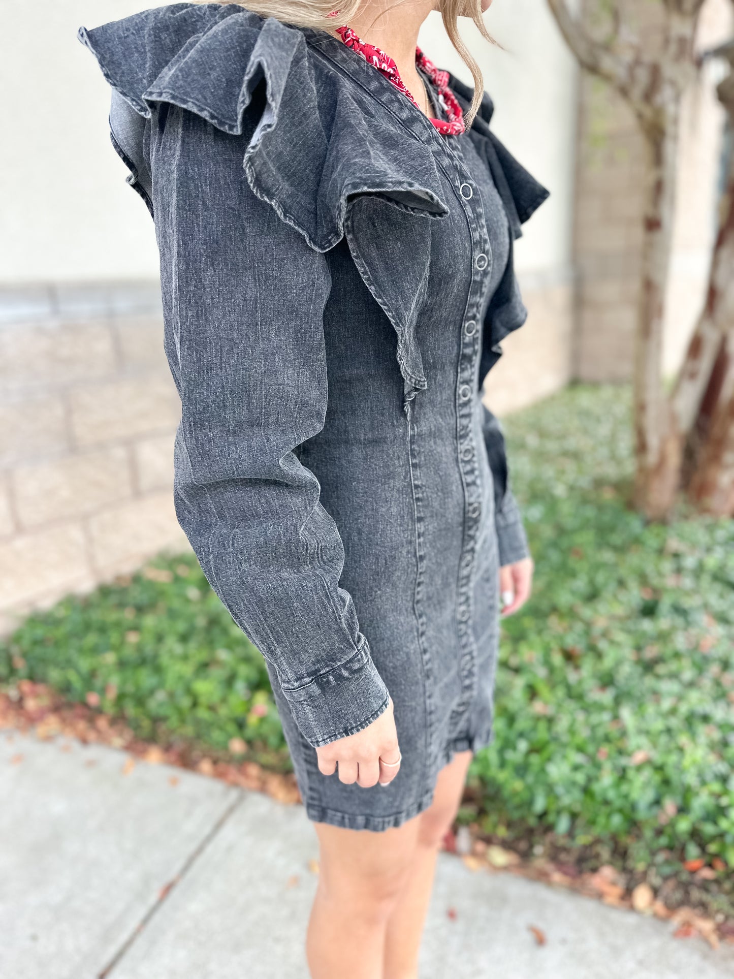 Tonya Denim Dress