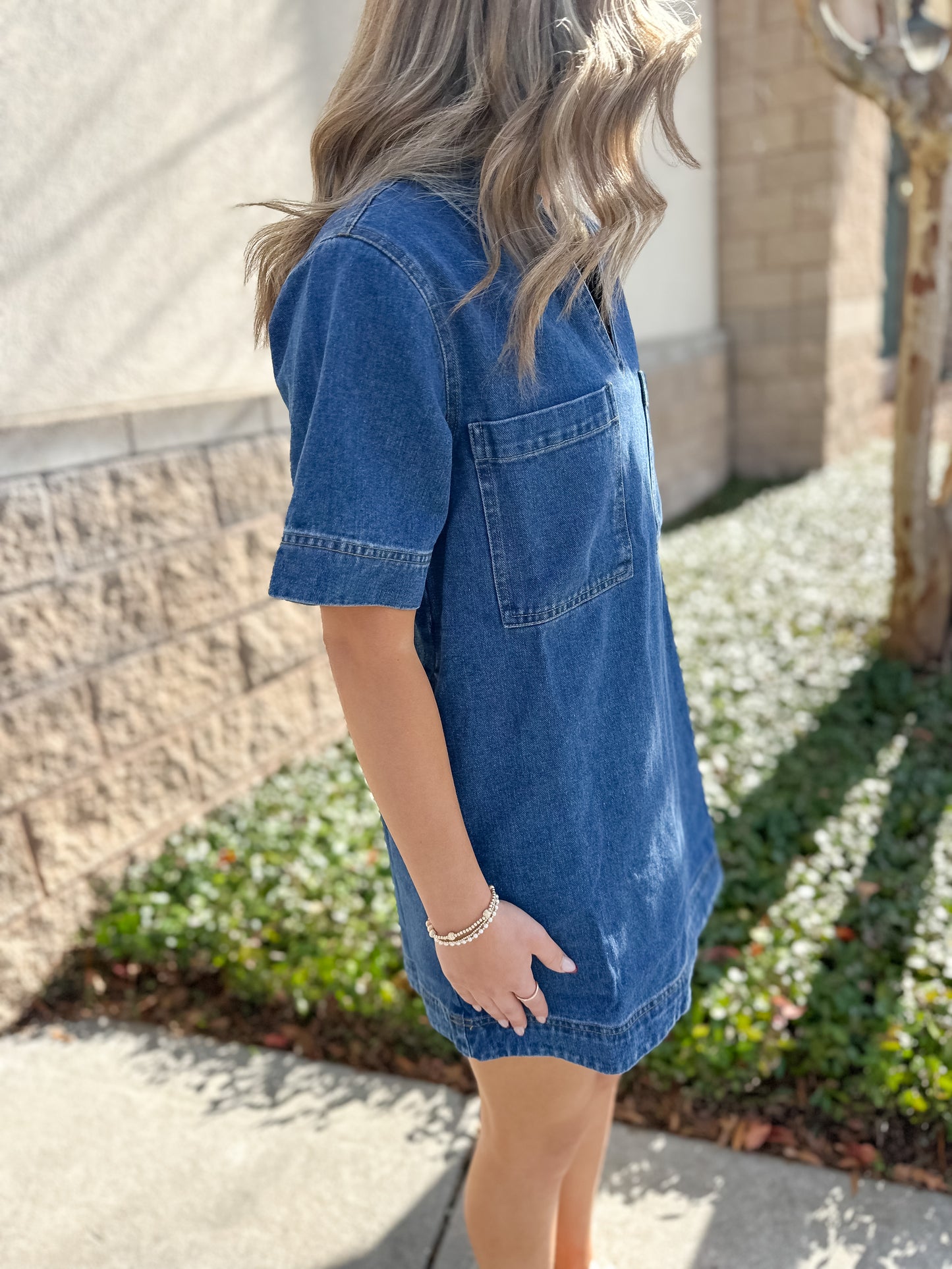 Vayda Denim Dress