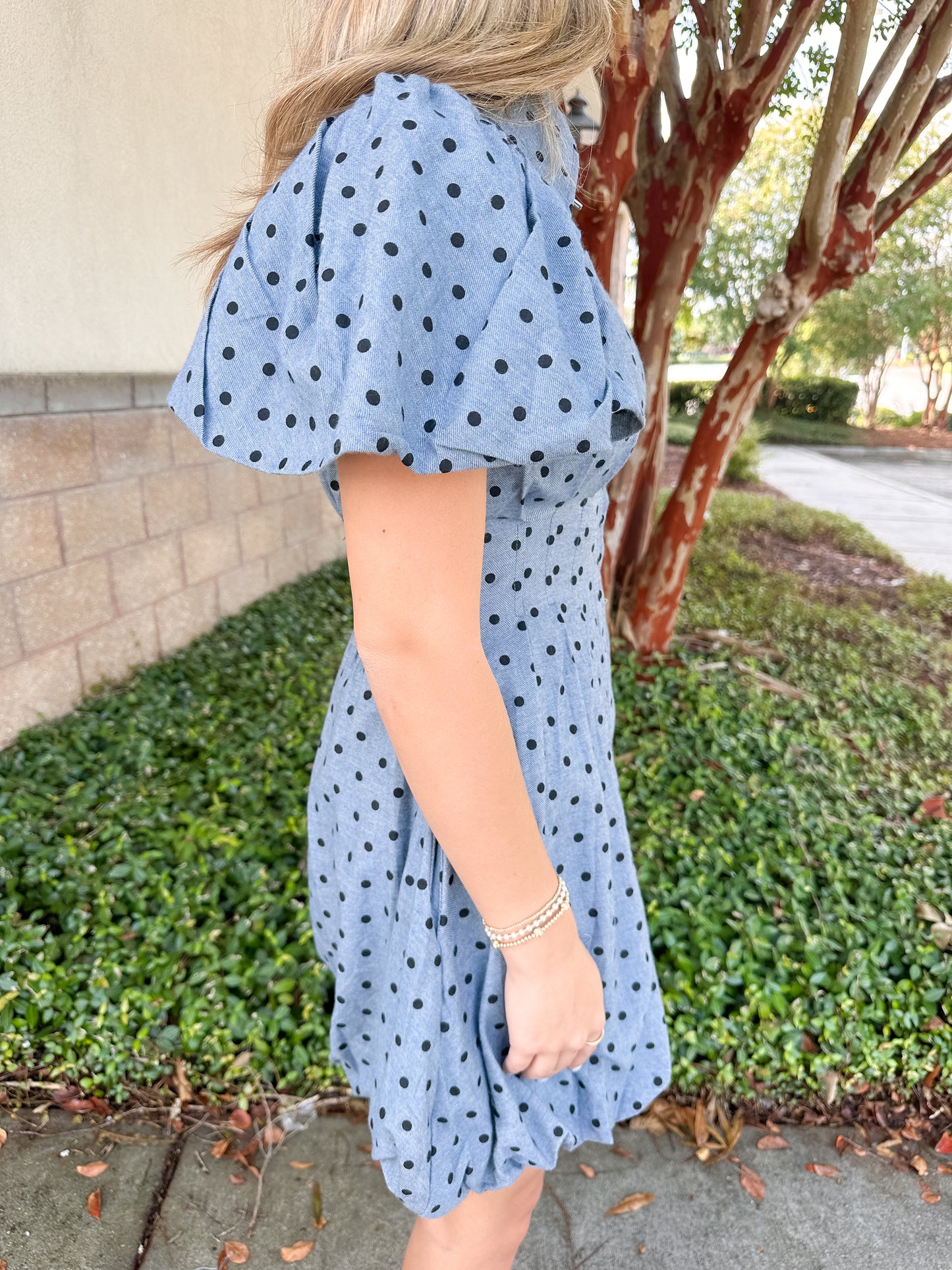 Presley Mini Dress