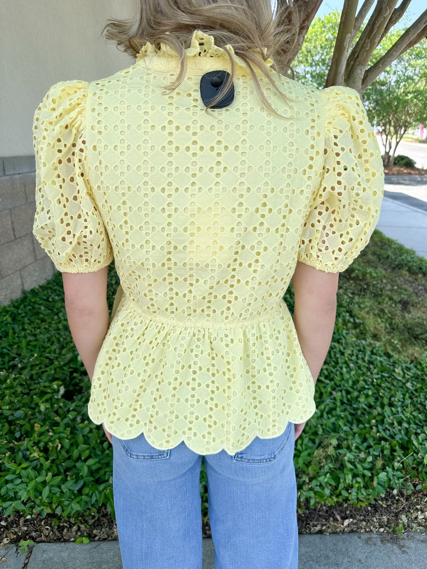 Elise Eyelet Top