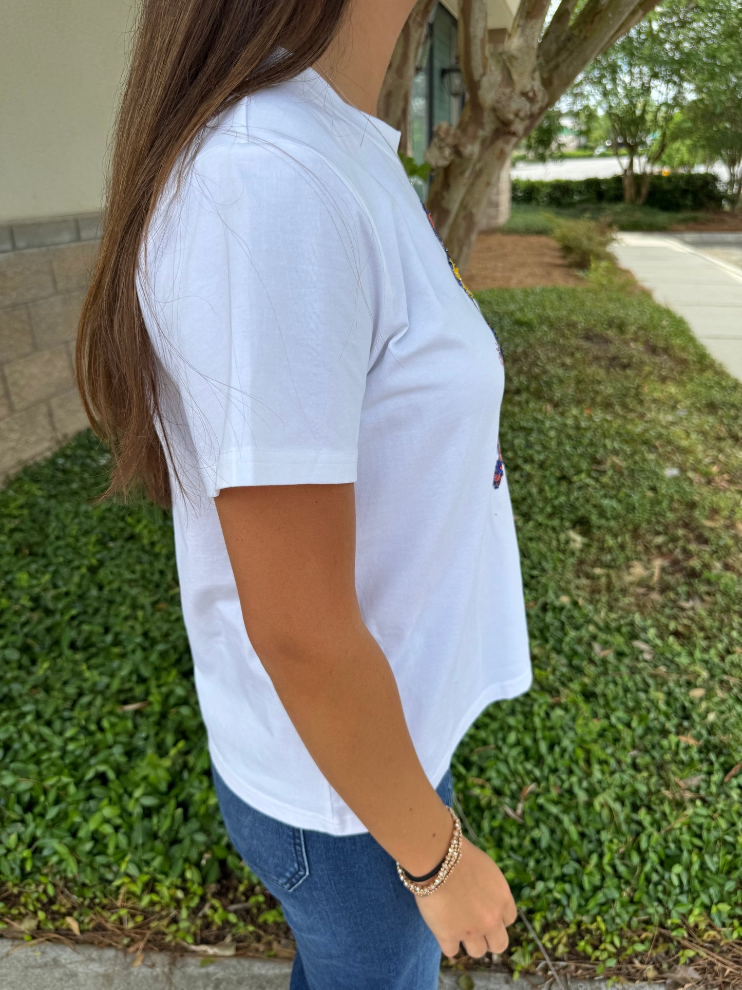 SS American Hot Dog Tee
