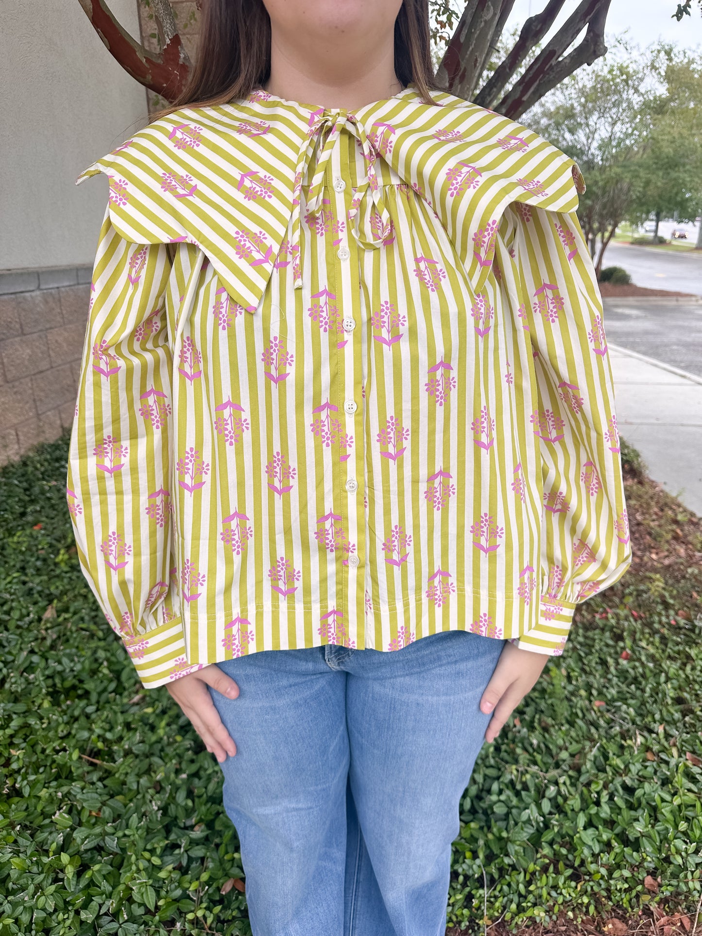 Fairly Collar Top