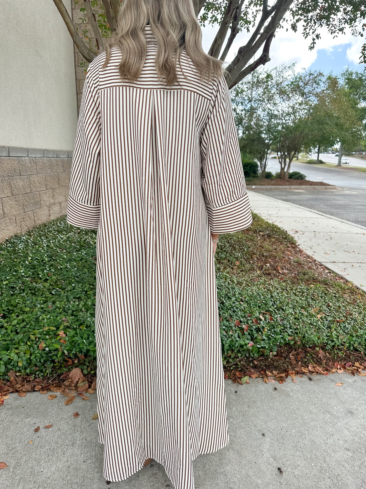 Savannah Stripes Maxi Dress