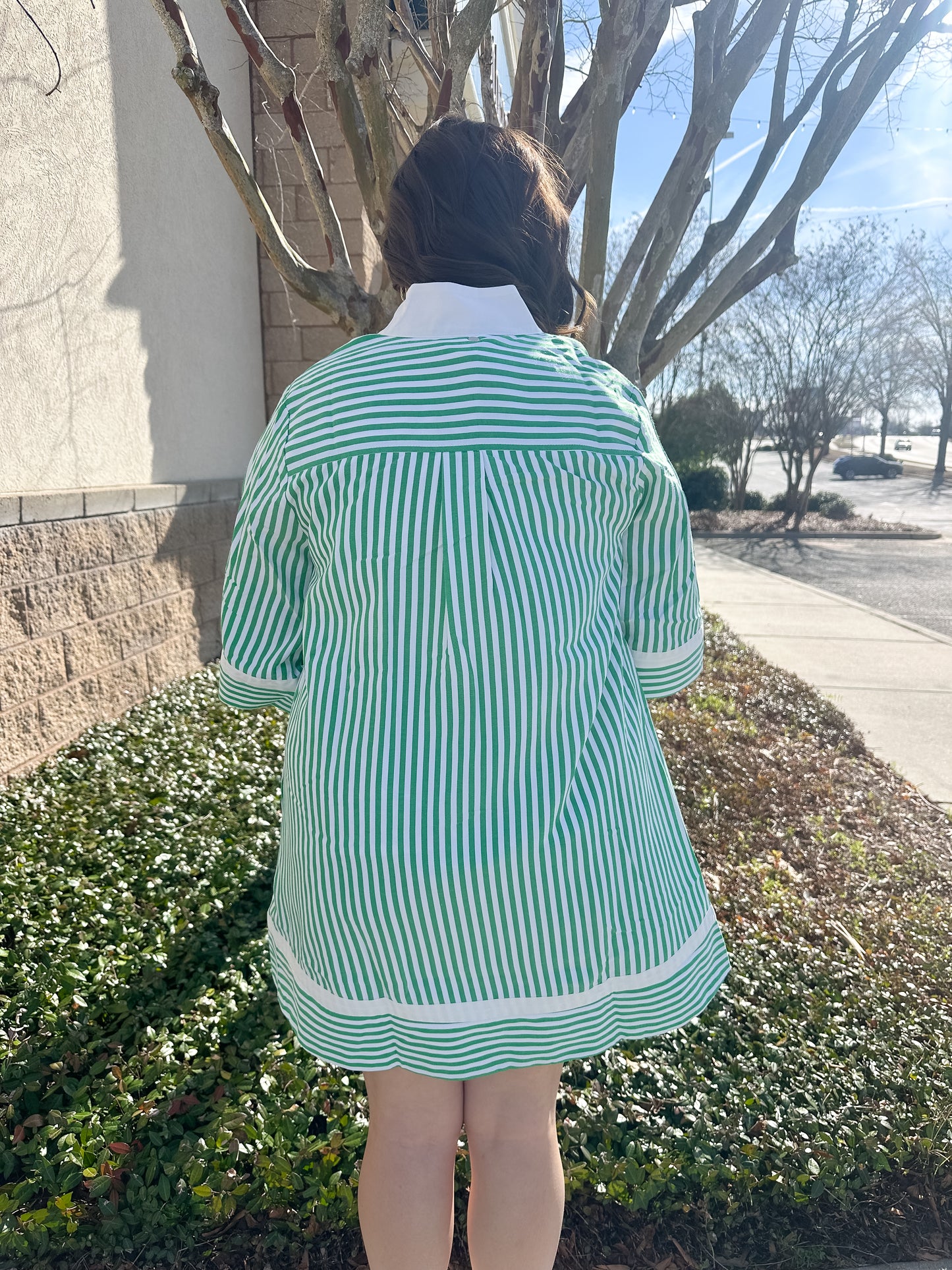 Logan Stripe Dress - Green