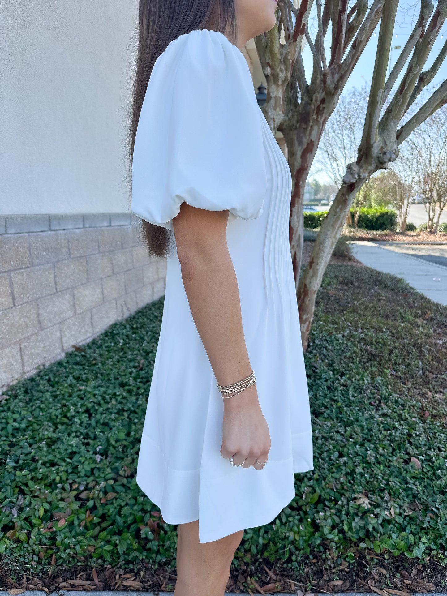 Lolli Pleated Dress
