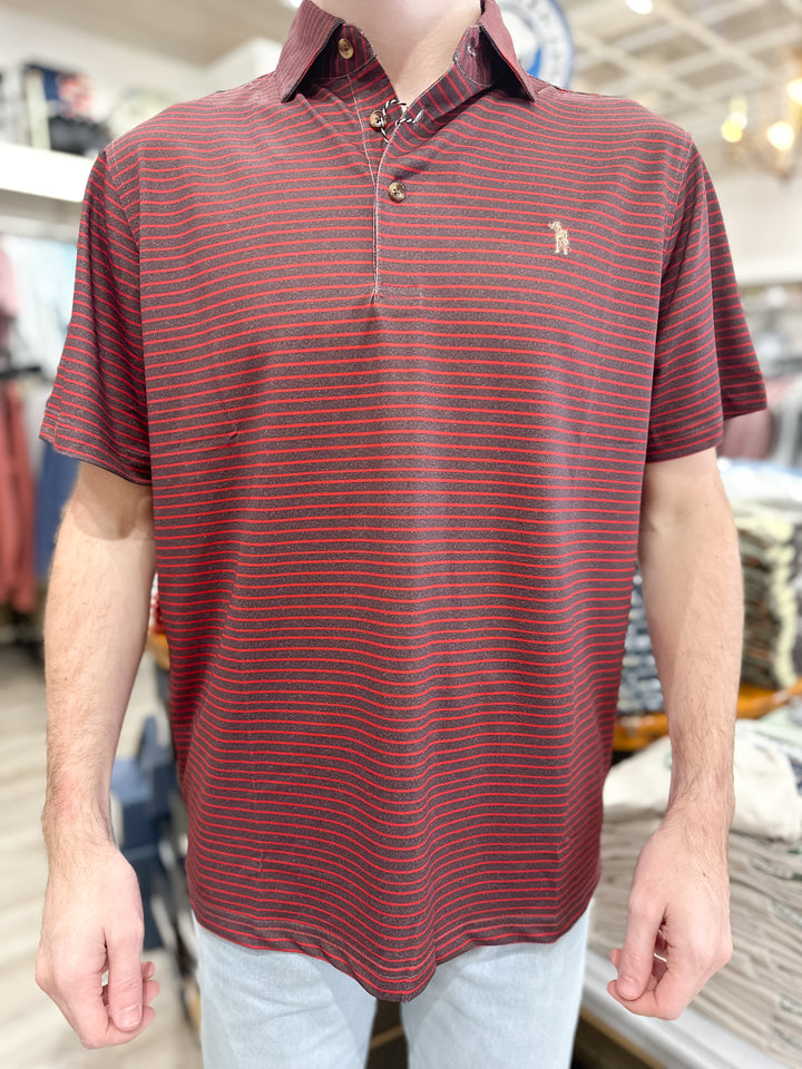 S. Casanova F25 Trapline Stripe Performance Polo