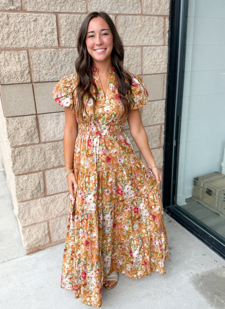 Angie Maxi Dress: Terra Cotta
